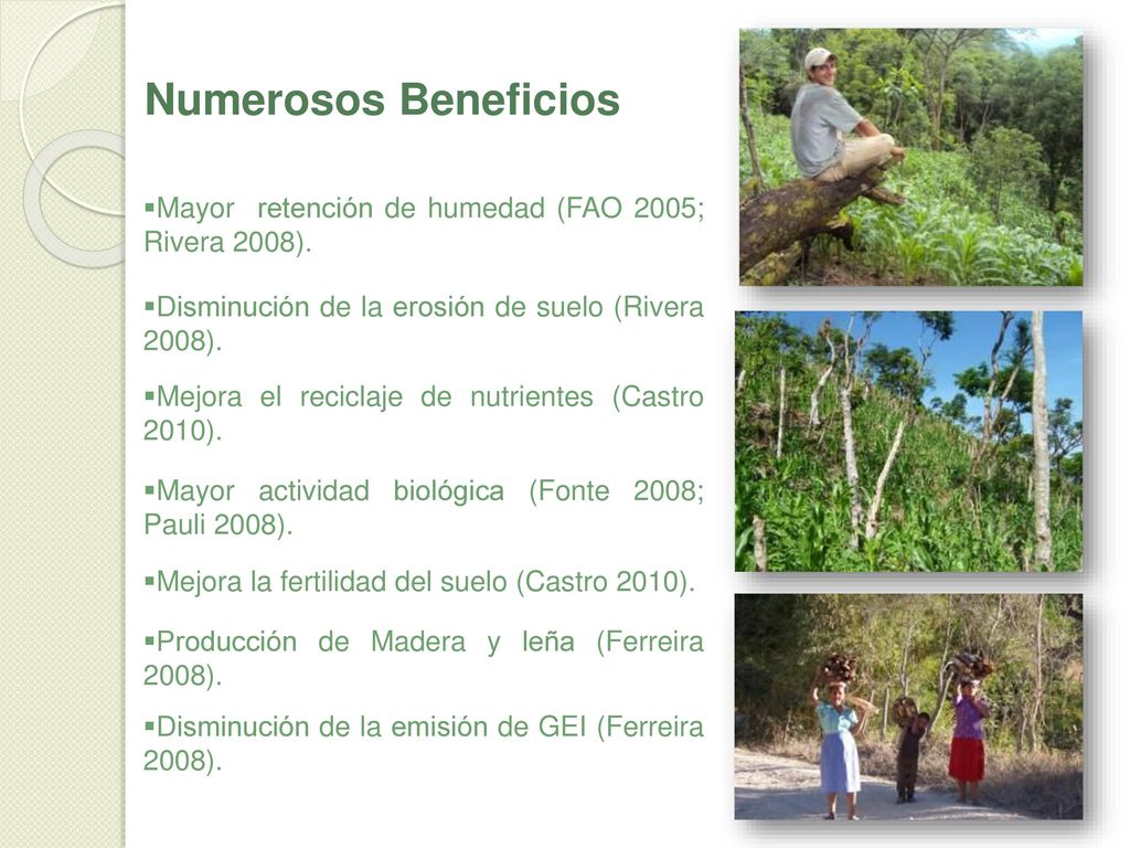 Numerosos Beneficios Mayor retención de humedad (FAO 2005; Rivera 2008). Disminución de la erosión de suelo (Rivera 2008).