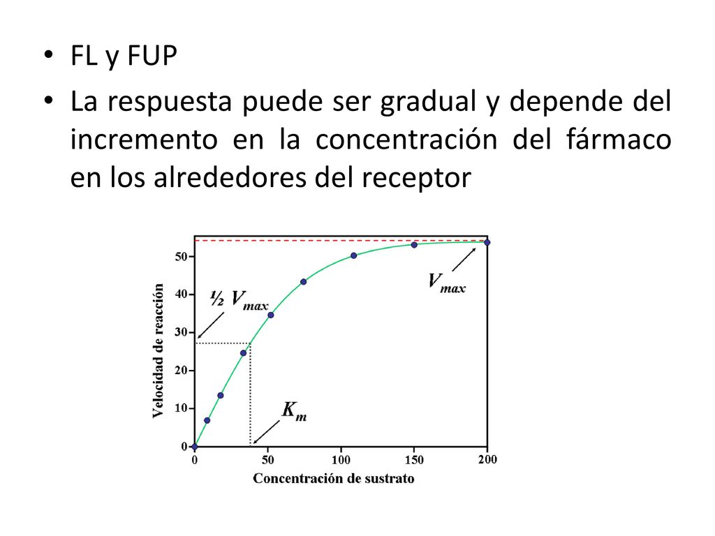 FL y FUP La respuesta puede ser gradual y depende del incremento en la concentración del fármaco en los alrededores del receptor.
