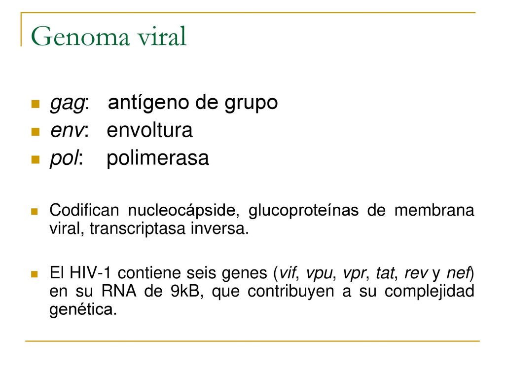 Genoma viral gag: antígeno de grupo env: envoltura pol: polimerasa