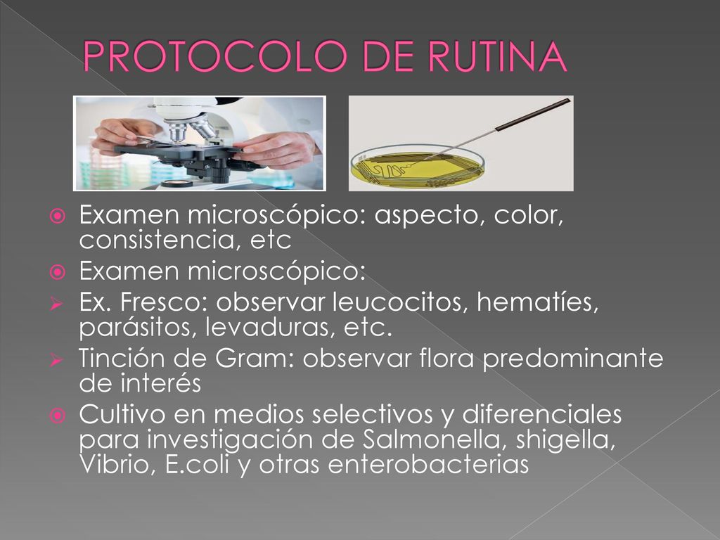 PROTOCOLO DE RUTINA Examen microscópico: aspecto, color, consistencia, etc. Examen microscópico: