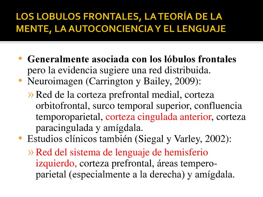 LOS LOBULOS FRONTALES, LA TEORÍA DE LA MENTE, LA AUTOCONCIENCIA Y EL LENGUAJE