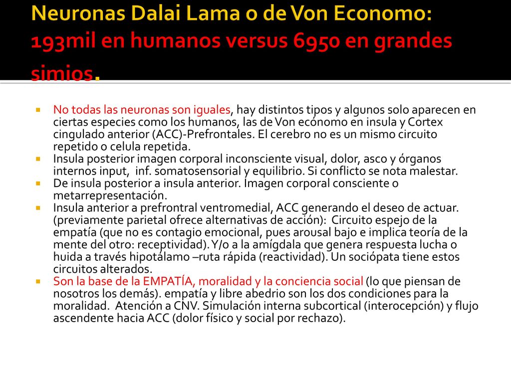 Neuronas Dalai Lama o de Von Economo: 193mil en humanos versus 6950 en grandes simios.