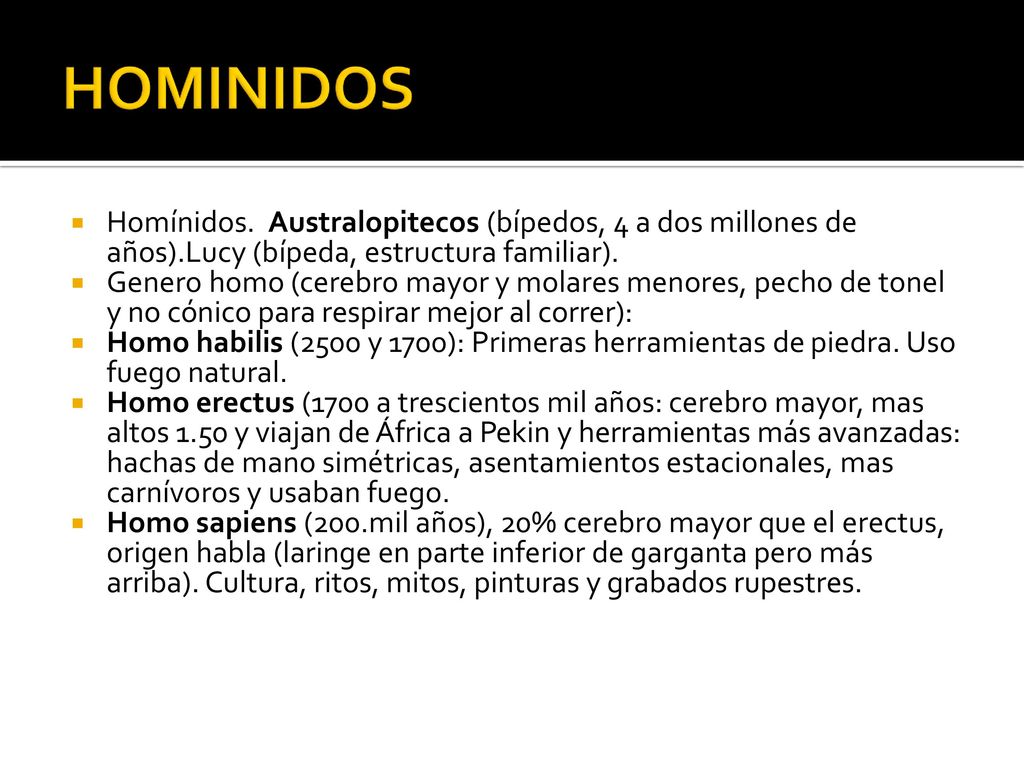 HOMINIDOS Homínidos. Australopitecos (bípedos, 4 a dos millones de años).Lucy (bípeda, estructura familiar).