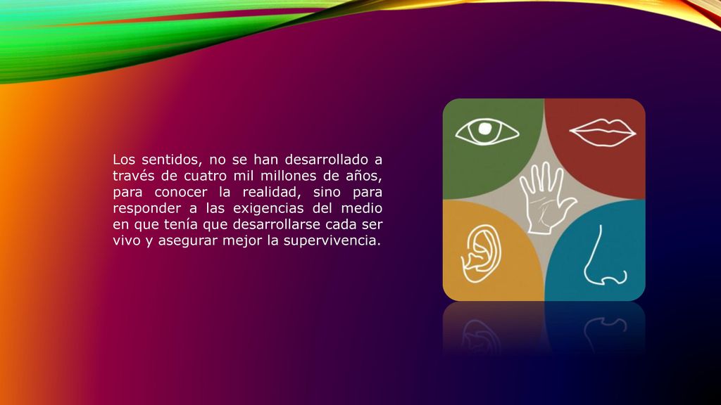 Los sentidos, no se han desarrollado a través de cuatro mil millones de años, para conocer la realidad, sino para responder a las exigencias del medio en que tenía que desarrollarse cada ser vivo y asegurar mejor la supervivencia.