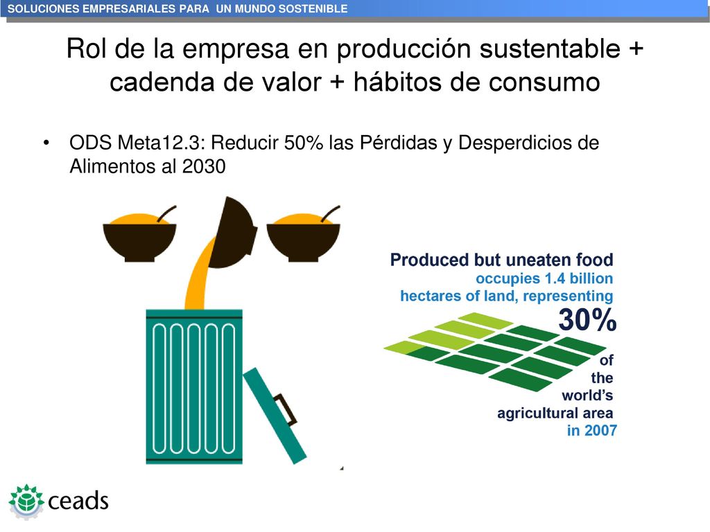Rol de la empresa en producción sustentable + cadenda de valor + hábitos de consumo