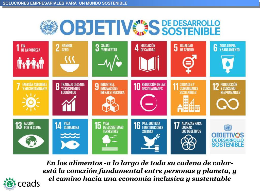 En los alimentos -a lo largo de toda su cadena de valor- está la conexión fundamental entre personas y planeta, y el camino hacia una economía inclusiva y sustentable