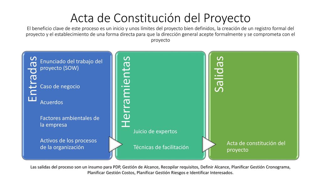Acta de Constitución del Proyecto El beneficio clave de este proceso es un inicio y unos límites del proyecto bien definidos, la creación de un registro formal del proyecto y el establecimiento de una forma directa para que la dirección general acepte formalmente y se comprometa con el proyecto