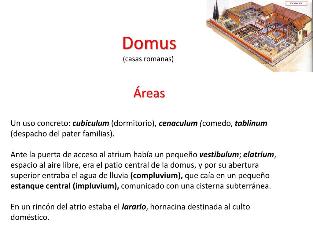 Domus (casas romanas) Áreas. Un uso concreto: cubiculum (dormitorio), cenaculum (comedo, tablinum (despacho del pater familias).