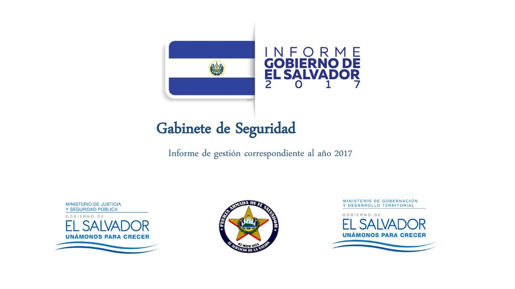 Informe de gestión correspondiente al año 2017