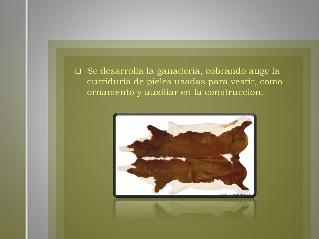 Se desarrolla la ganaderia, cobrando auge la curtiduria de pieles usadas para vestir, como ornamento y auxiliar en la construccion.