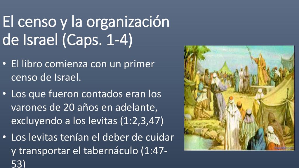 El censo y la organización de Israel (Caps. 1-4)