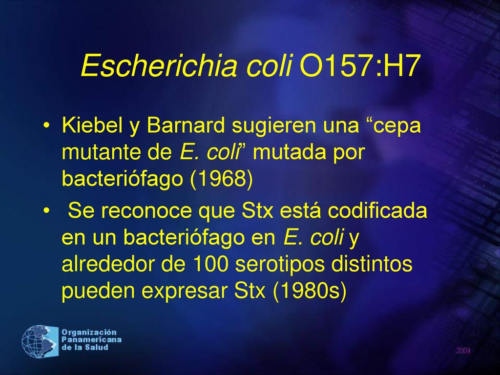 Escherichia coli O157:H7 Kiebel y Barnard sugieren una cepa mutante de E. coli mutada por bacteriófago (1968)
