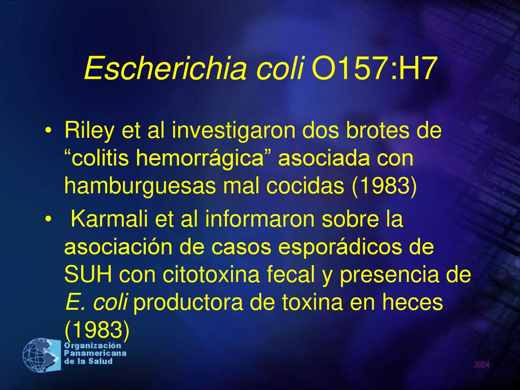 Escherichia coli O157:H7 Riley et al investigaron dos brotes de colitis hemorrágica asociada con hamburguesas mal cocidas (1983)