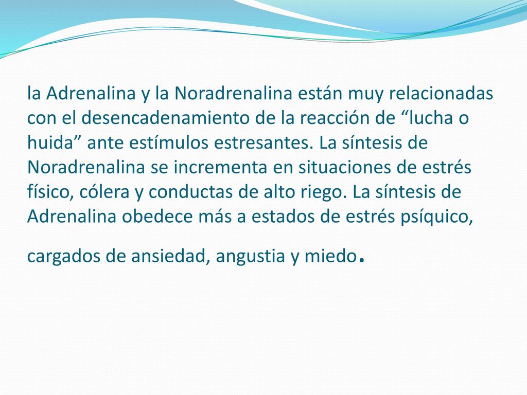 la Adrenalina y la Noradrenalina están muy relacionadas con el desencadenamiento de la reacción de lucha o huida ante estímulos estresantes.