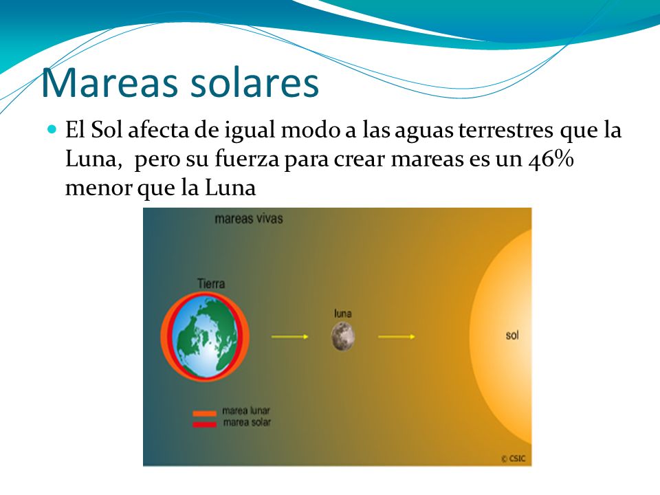 Mareas solares El Sol afecta de igual modo a las aguas terrestres que la Luna, pero su fuerza para crear mareas es un 46% menor que la Luna.
