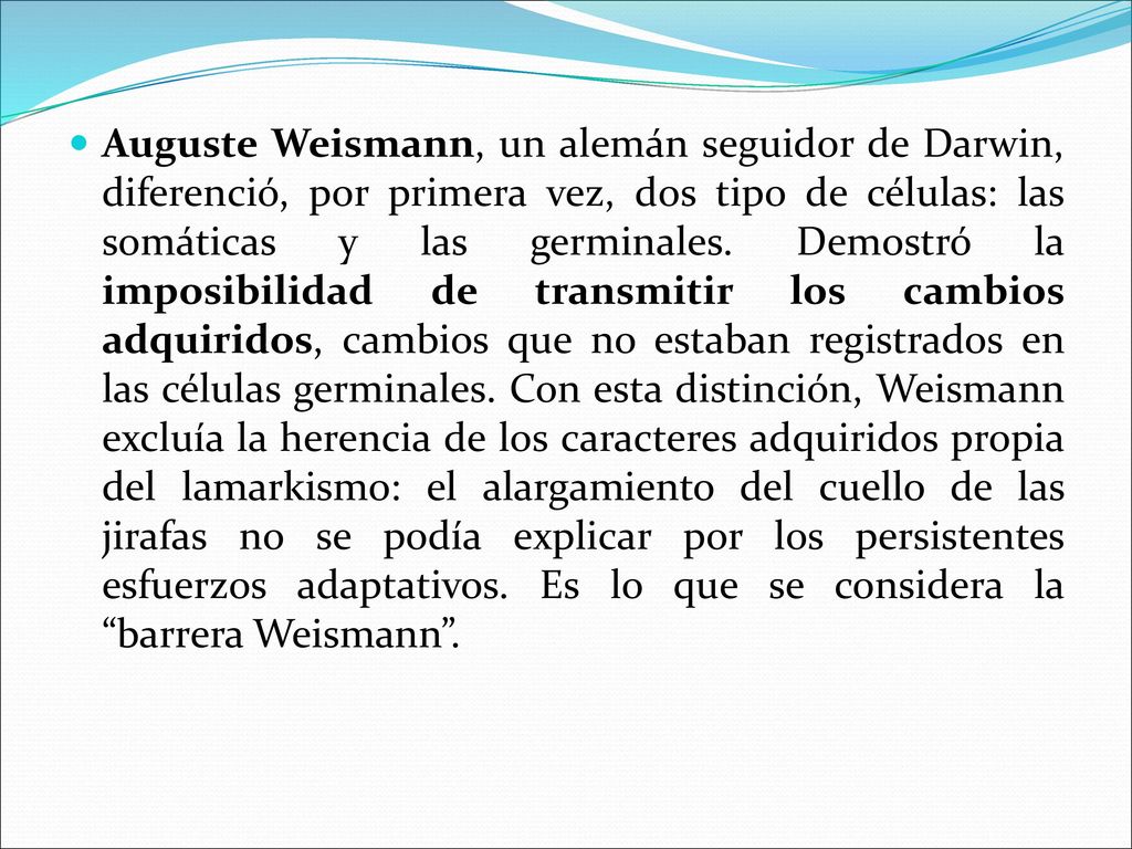Auguste Weismann, un alemán seguidor de Darwin, diferenció, por primera vez, dos tipo de células: las somáticas y las germinales.