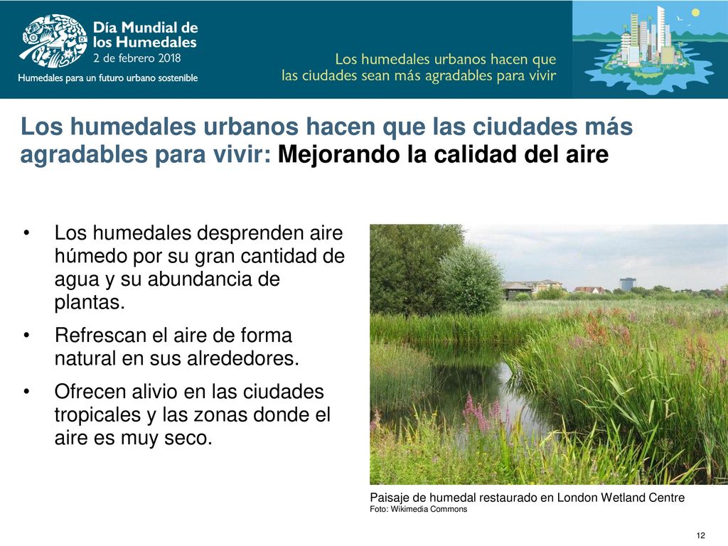 Los humedales urbanos hacen que las ciudades más agradables para vivir: Mejorando la calidad del aire