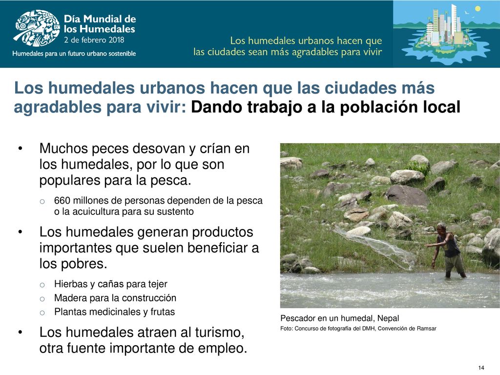 Los humedales urbanos hacen que las ciudades más agradables para vivir: Dando trabajo a la población local