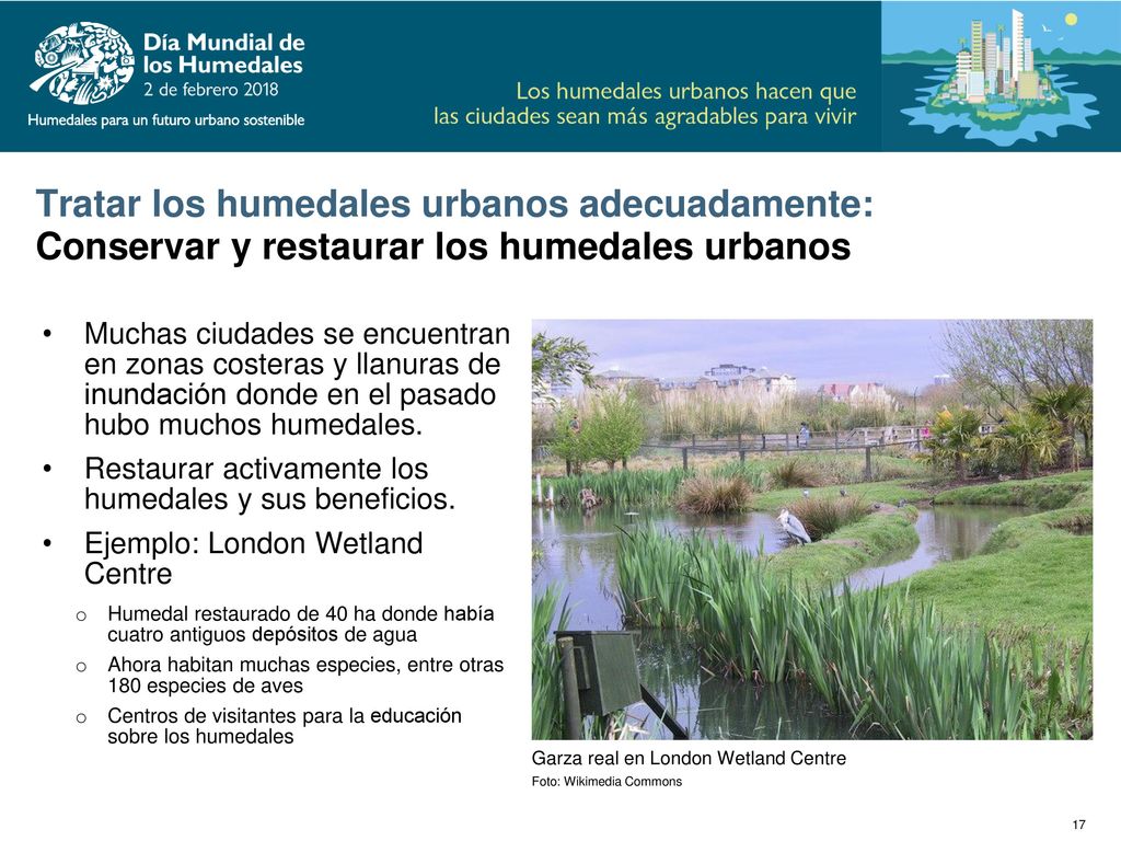 Tratar los humedales urbanos adecuadamente: Conservar y restaurar los humedales urbanos