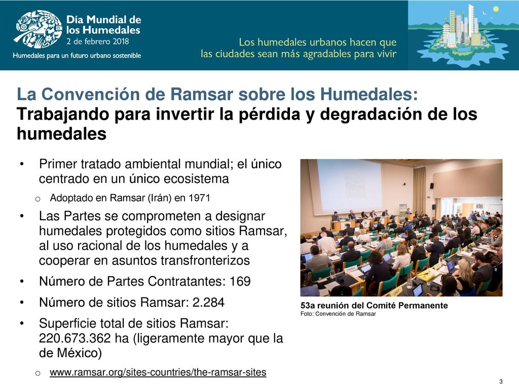 La Convención de Ramsar sobre los Humedales: Trabajando para invertir la pérdida y degradación de los humedales