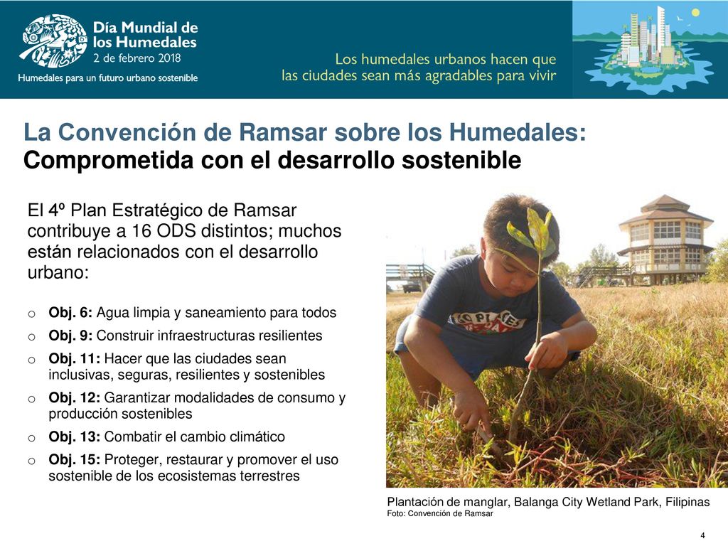 La Convención de Ramsar sobre los Humedales: Comprometida con el desarrollo sostenible