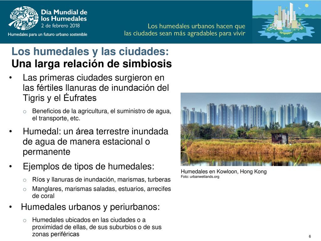 Los humedales y las ciudades: Una larga relación de simbiosis