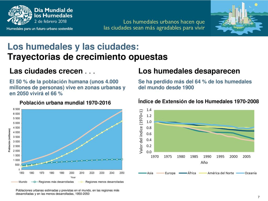 Los humedales y las ciudades: Trayectorias de crecimiento opuestas