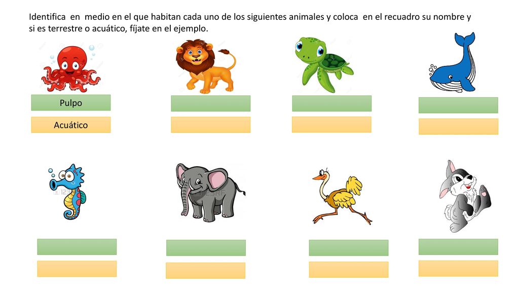 Identifica en medio en el que habitan cada uno de los siguientes animales y coloca en el recuadro su nombre y si es terrestre o acuático, fíjate en el ejemplo.