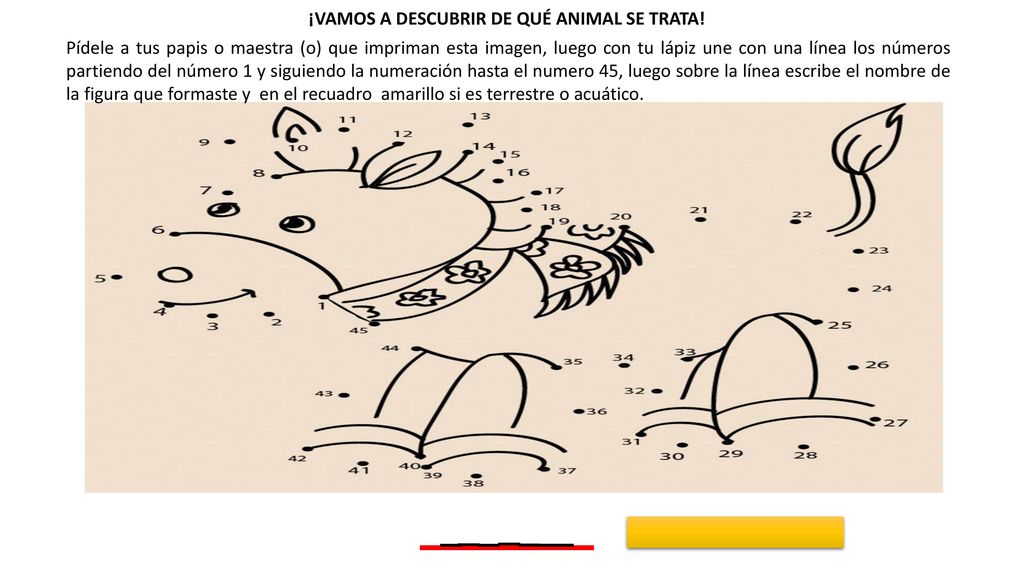 _ _ _ _ _ _ _ ¡VAMOS A DESCUBRIR DE QUÉ ANIMAL SE TRATA!
