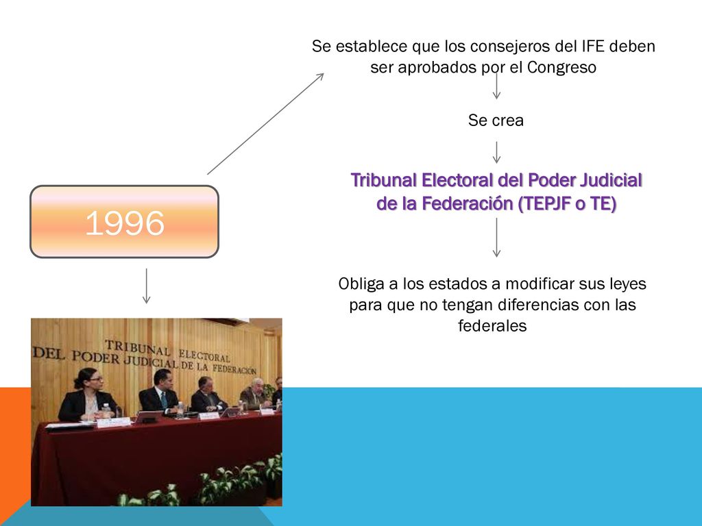 Tribunal Electoral del Poder Judicial de la Federación (TEPJF o TE)