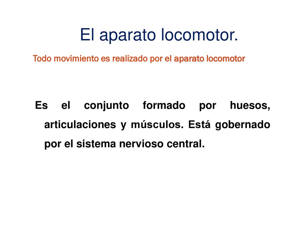 El aparato locomotor. Todo movimiento es realizado por el aparato locomotor.