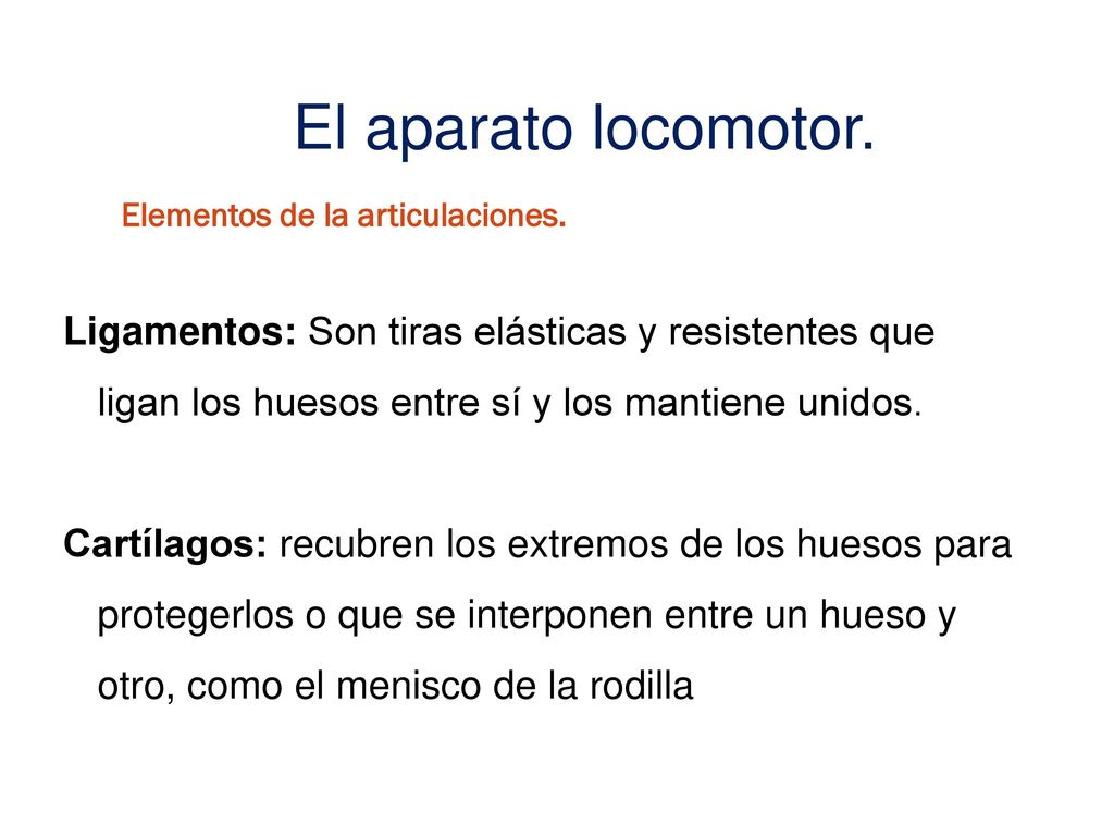 El aparato locomotor. Ligamentos: Son tiras elásticas y resistentes que ligan los huesos entre sí y los mantiene unidos.