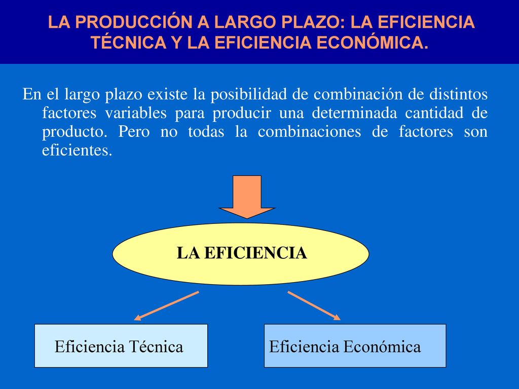 LA PRODUCCIÓN A LARGO PLAZO: LA EFICIENCIA TÉCNICA Y LA EFICIENCIA ECONÓMICA.