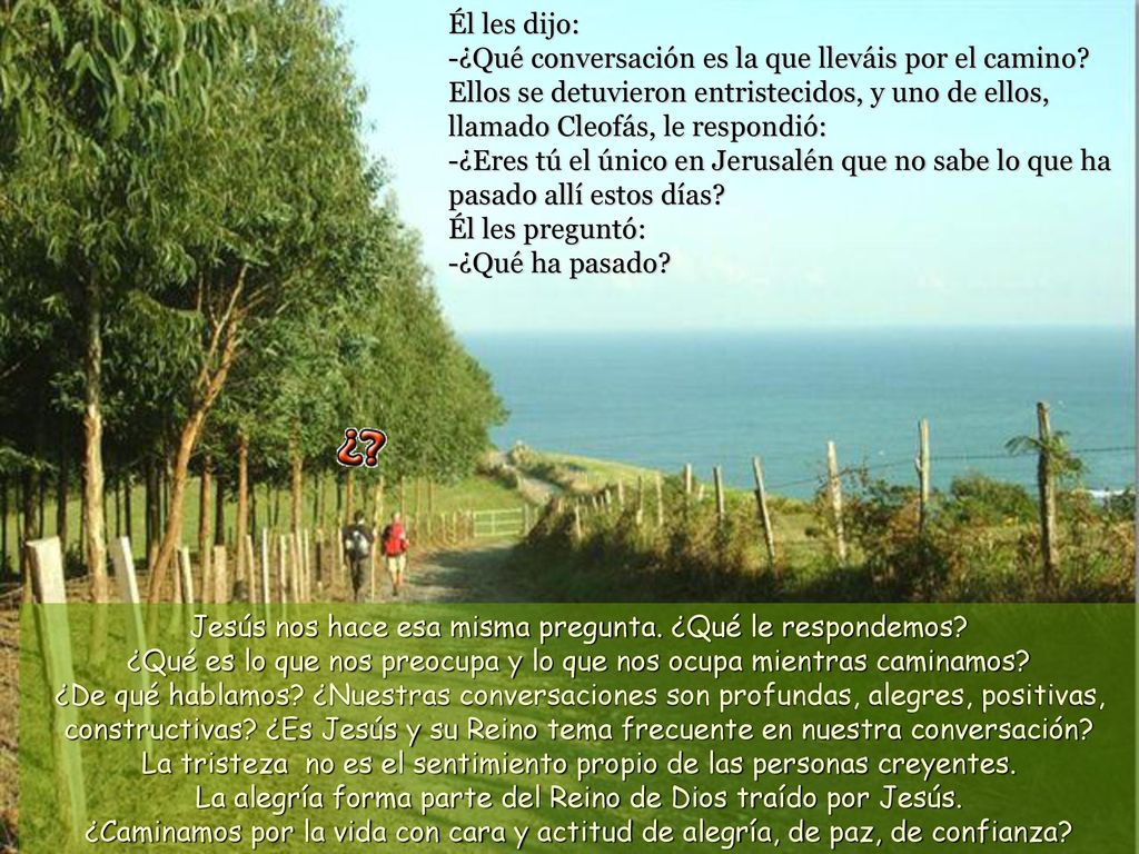 Él les dijo: -¿Qué conversación es la que lleváis por el camino