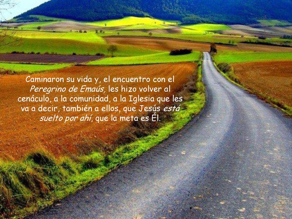 Caminaron su vida y, el encuentro con el Peregrino de Emaús, les hizo volver al cenáculo, a la comunidad, a la Iglesia que les va a decir, también a ellos, que Jesús está suelto por ahí, que la meta es Él.