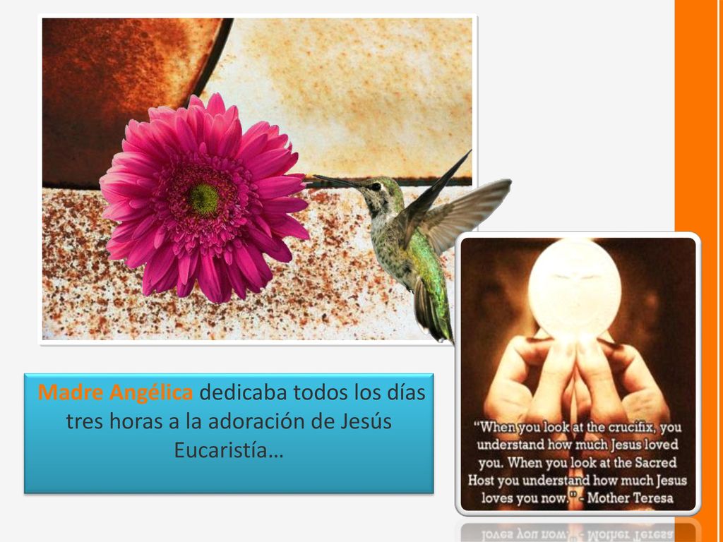 Madre Angélica dedicaba todos los días tres horas a la adoración de Jesús Eucaristía…
