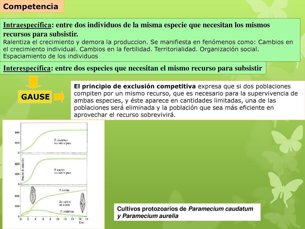 Competencia Intraespecífica: entre dos individuos de la misma especie que necesitan los mismos recursos para subsistir.