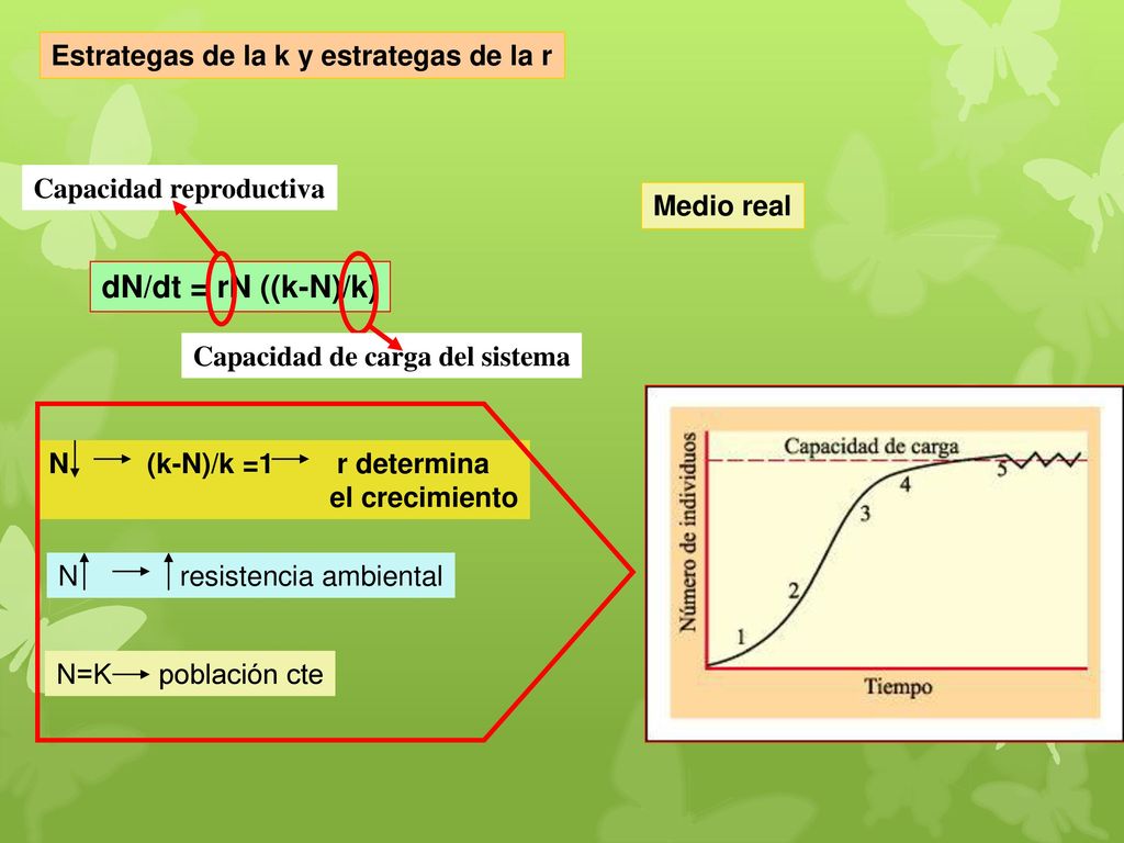 dN/dt = rN ((k-N)/k) Estrategas de la k y estrategas de la r