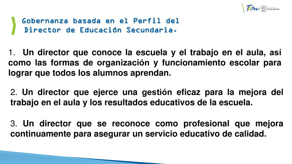 Gobernanza basada en el Perfil del Director de Educación Secundaria.