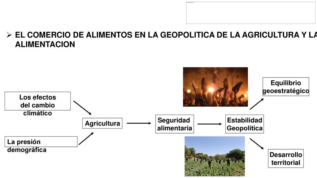 EL COMERCIO DE ALIMENTOS EN LA GEOPOLITICA DE LA AGRICULTURA Y LA ALIMENTACION