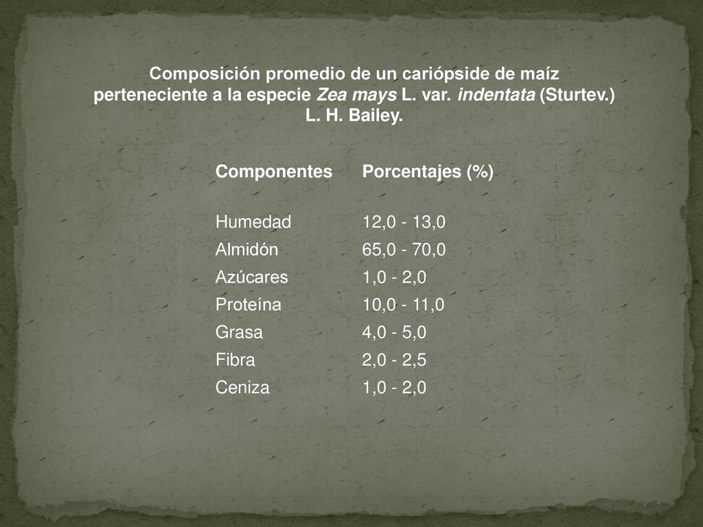 Composición promedio de un cariópside de maíz perteneciente a la especie Zea mays L. var. indentata (Sturtev.) L. H. Bailey.