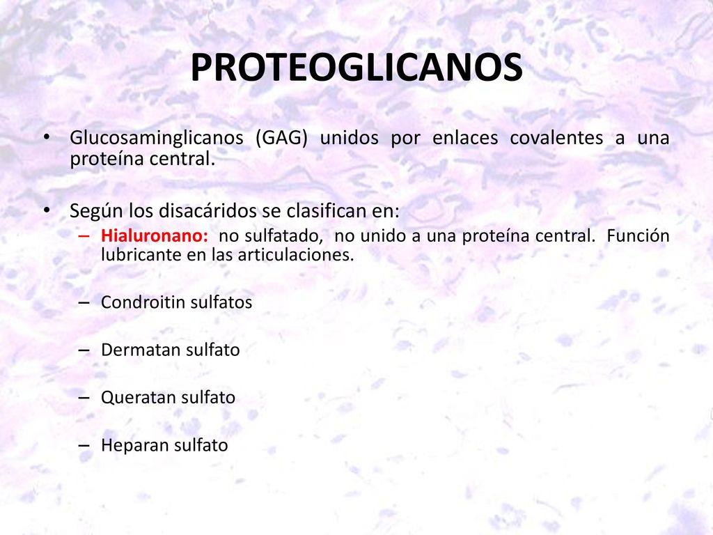 PROTEOGLICANOS Glucosaminglicanos (GAG) unidos por enlaces covalentes a una proteína central. Según los disacáridos se clasifican en: