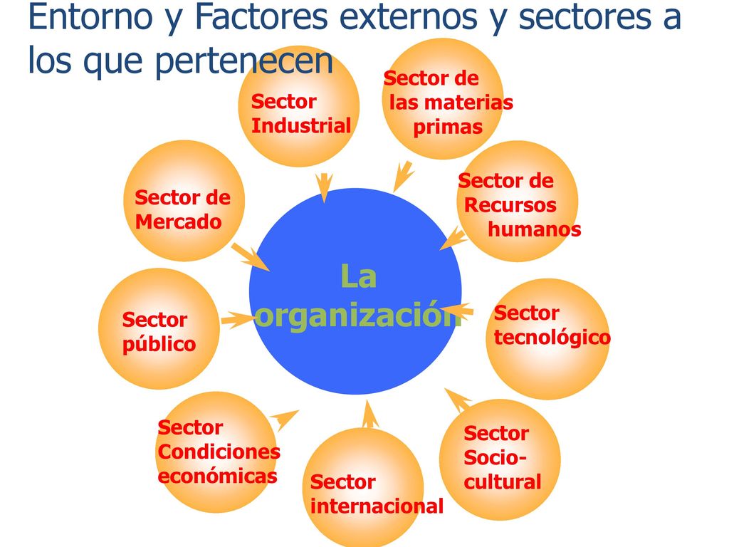 Entorno y Factores externos y sectores a los que pertenecen