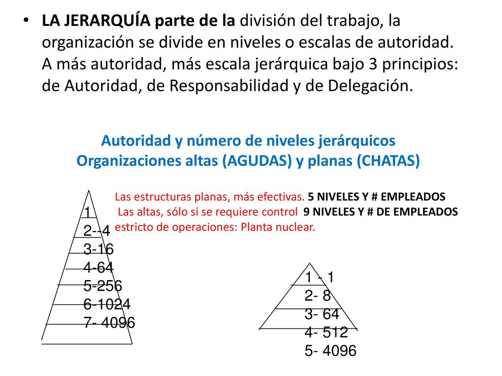 LA JERARQUÍA parte de la división del trabajo, la organización se divide en niveles o escalas de autoridad. A más autoridad, más escala jerárquica bajo 3 principios: de Autoridad, de Responsabilidad y de Delegación.