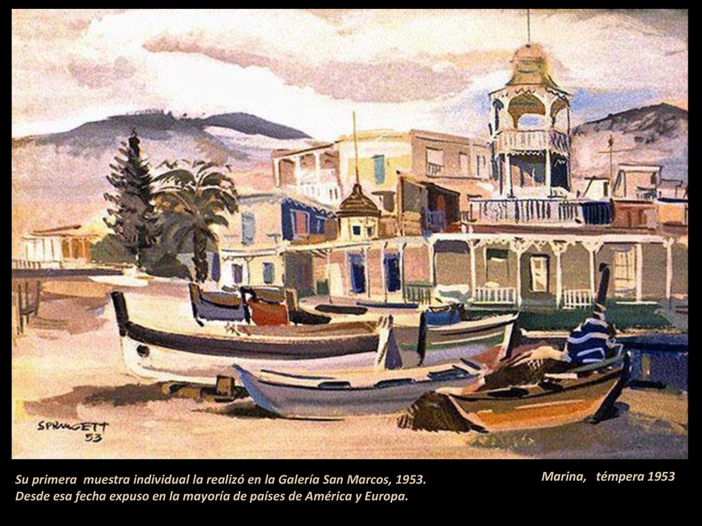 Su primera muestra individual la realizó en la Galería San Marcos, Desde esa fecha expuso en la mayoría de países de América y Europa.