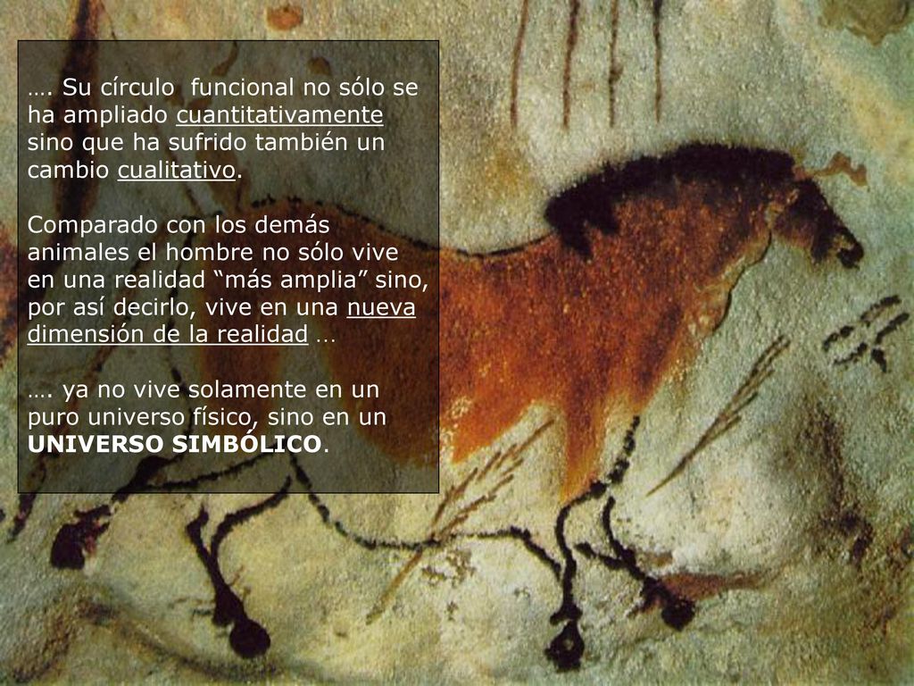 …. Su círculo funcional no sólo se ha ampliado cuantitativamente sino que ha sufrido también un cambio cualitativo.