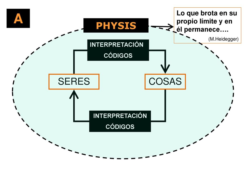 A Lo que brota en su propio límite y en él permanece…. (M.Heidegger) PHYSIS. INTERPRETACIÓN. CÓDIGOS.