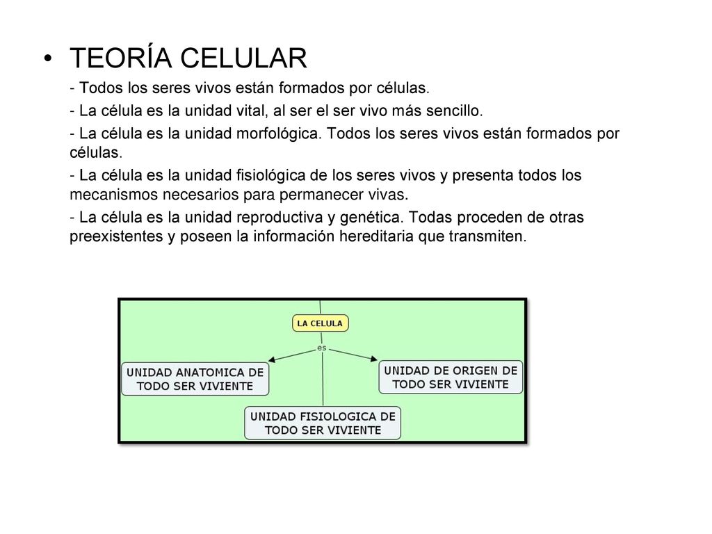 TEORÍA CELULAR - Todos los seres vivos están formados por células.