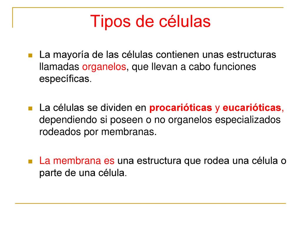 Tipos de células La mayoría de las células contienen unas estructuras llamadas organelos, que llevan a cabo funciones específicas.