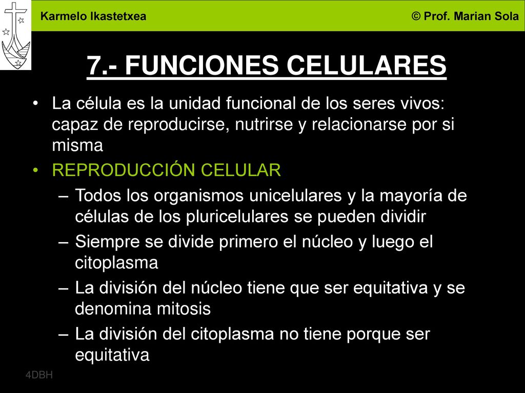 7.- FUNCIONES CELULARES La célula es la unidad funcional de los seres vivos: capaz de reproducirse, nutrirse y relacionarse por si misma.